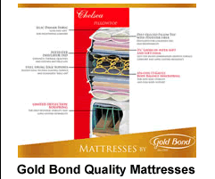 sofa beds and sleepers in lic astoria